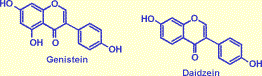 isoflavones