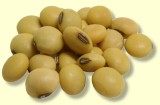 soybeans